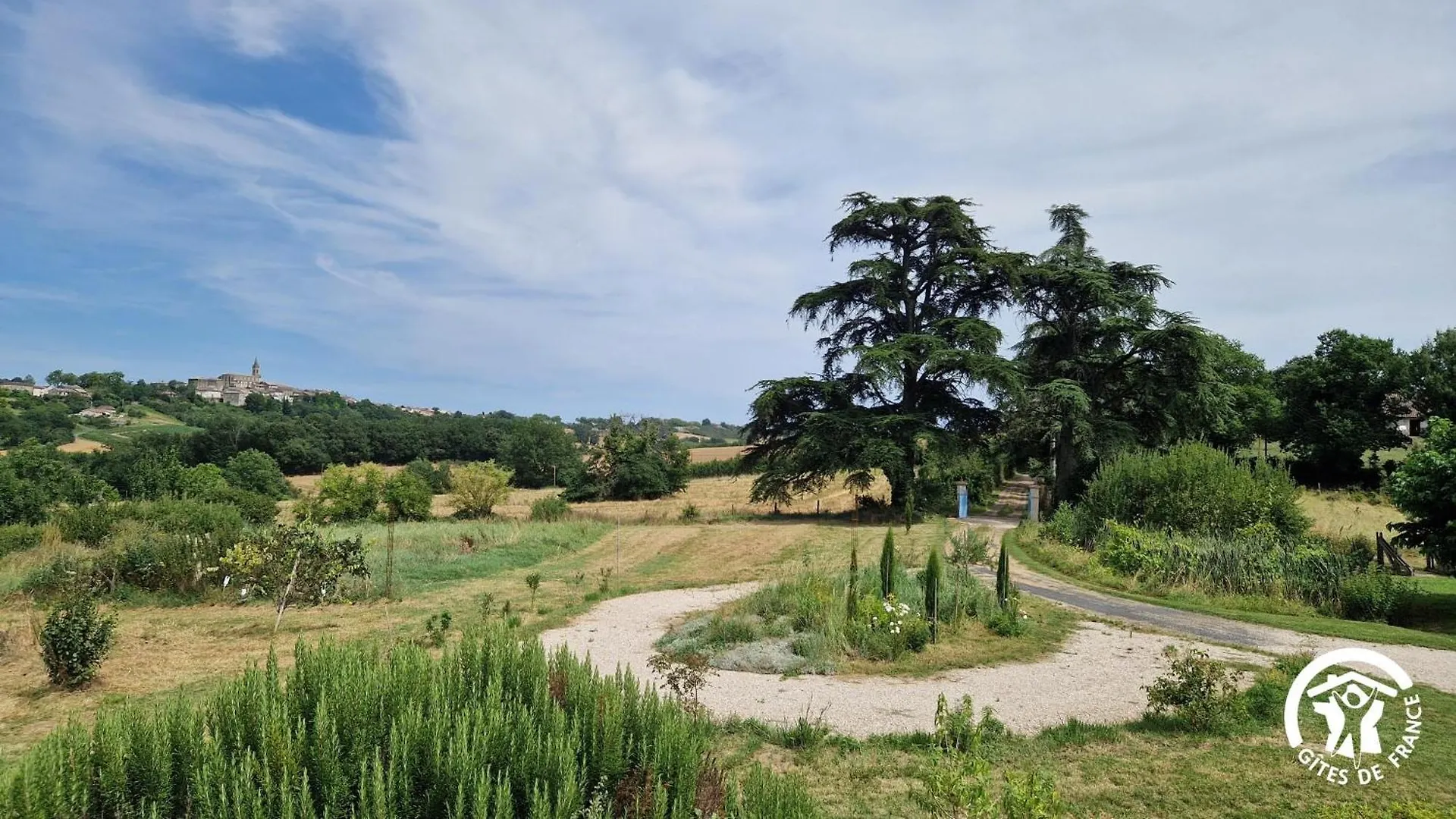 Bed & Breakfast Aux Roses De Cedres Chambre Savane Salvagnac