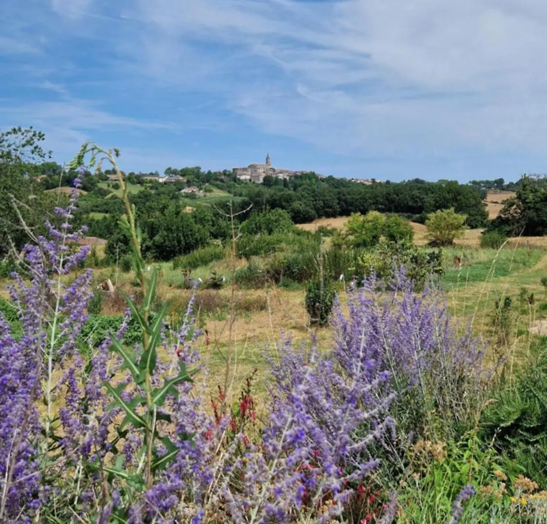 Aux Roses De Cedres Chambre Savane Salvagnac 0*,  France