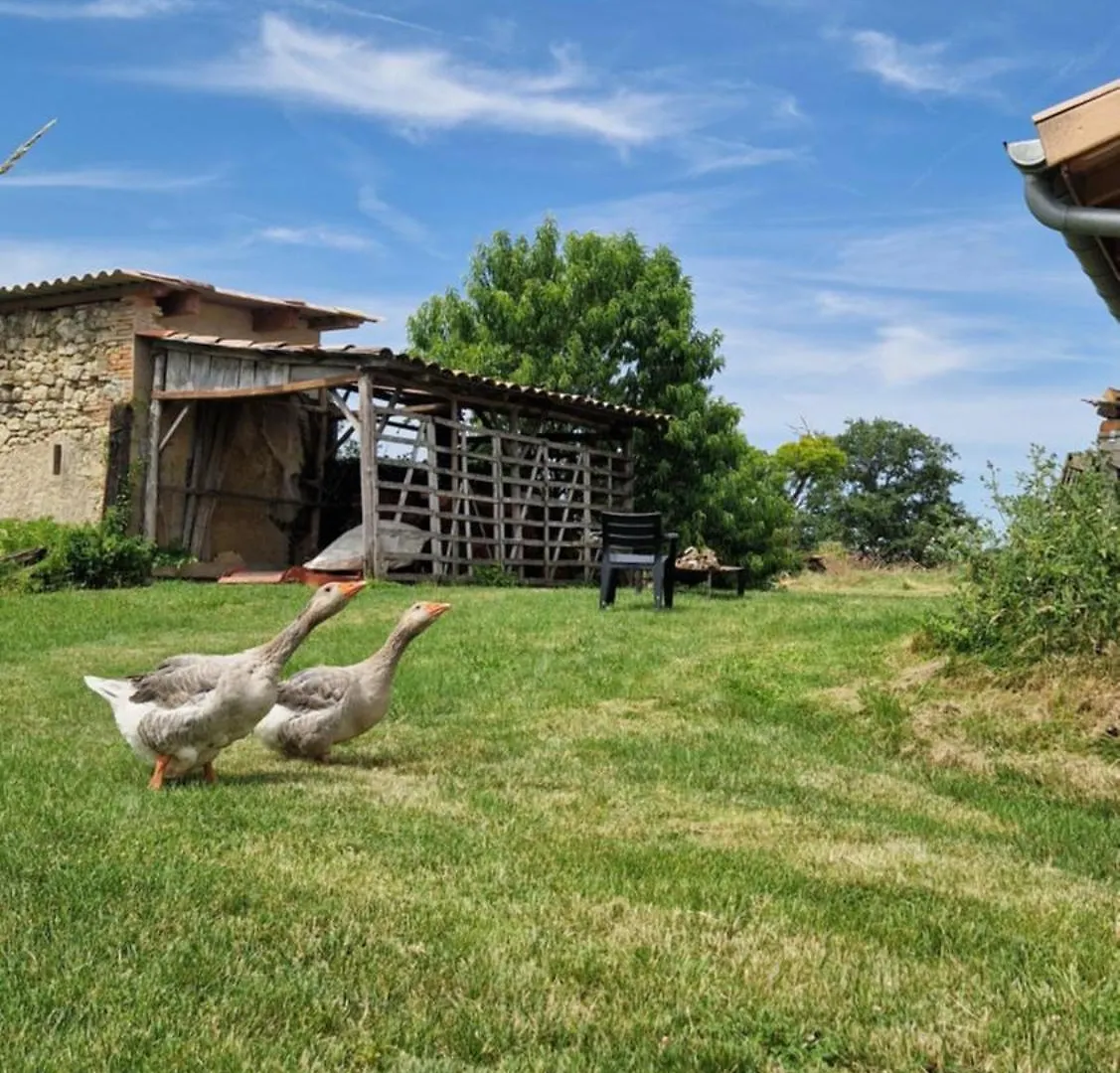 Bed & Breakfast Aux Roses De Cedres Chambre Savane Salvagnac France