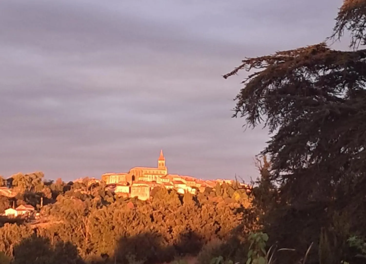 ベッド・アンド・ブレックファスト Aux Roses De Cedres Chambre Savane Salvagnac